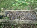 image of grave number 635529